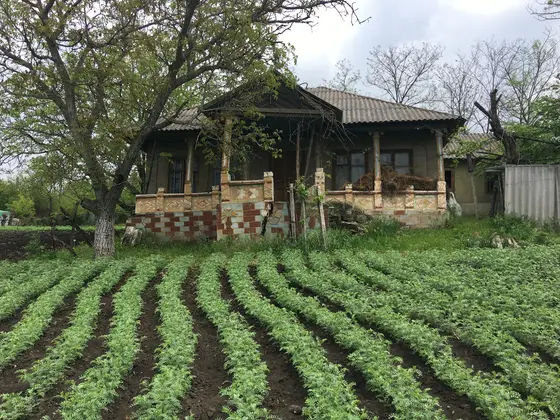 Chiștelnița — 1