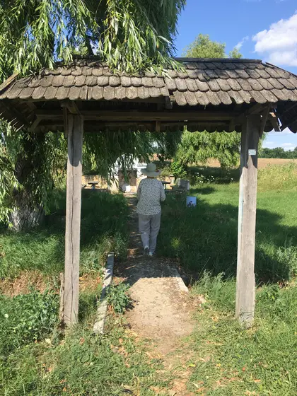 Cucoara — 2