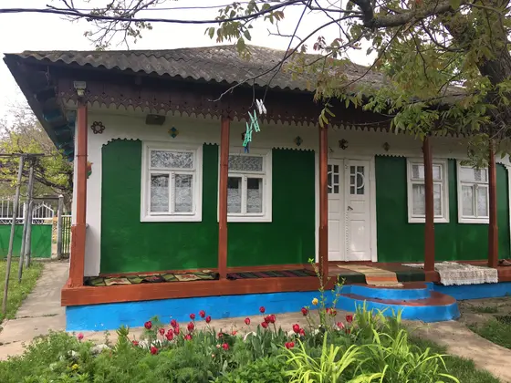 Negureni — 1