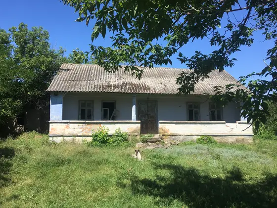 Roghi — 1